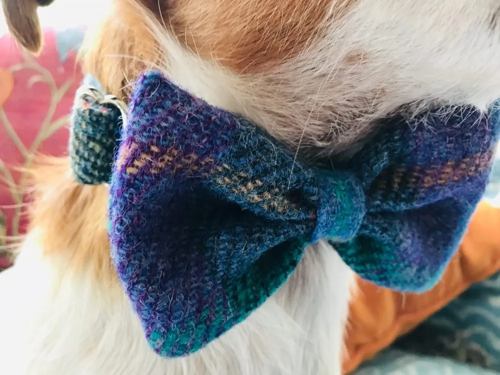 Beautiful Blue Harris Tweed Bow Tie Designer Dog Collar