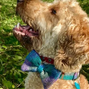 Beautiful Blue Harris Tweed Bow Tie Designer Dog Collar