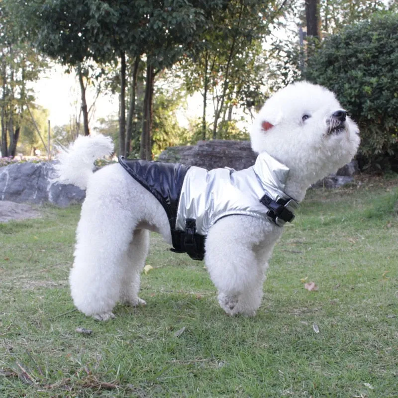 Bella's Windproof and Waterproof Dog Vest