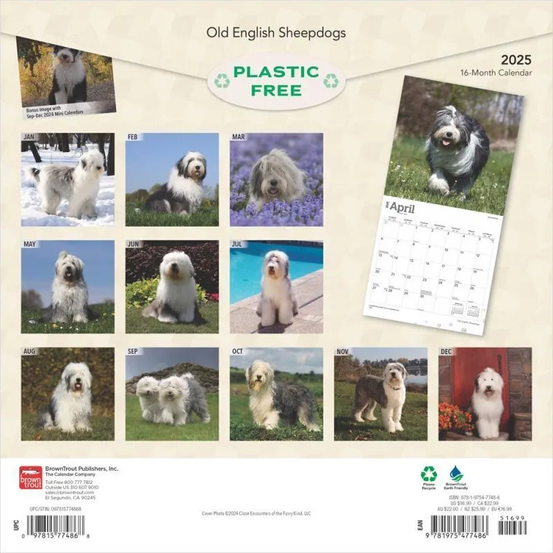 2025 Browntrout Old English Sheepdogs 12 x 12 Inch Wall Calendar