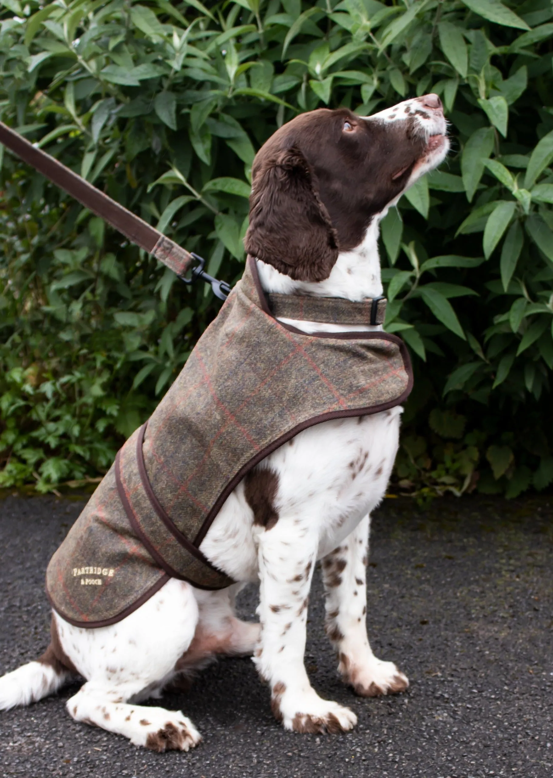 Dog Coat - Brown Check Waxed Tweed