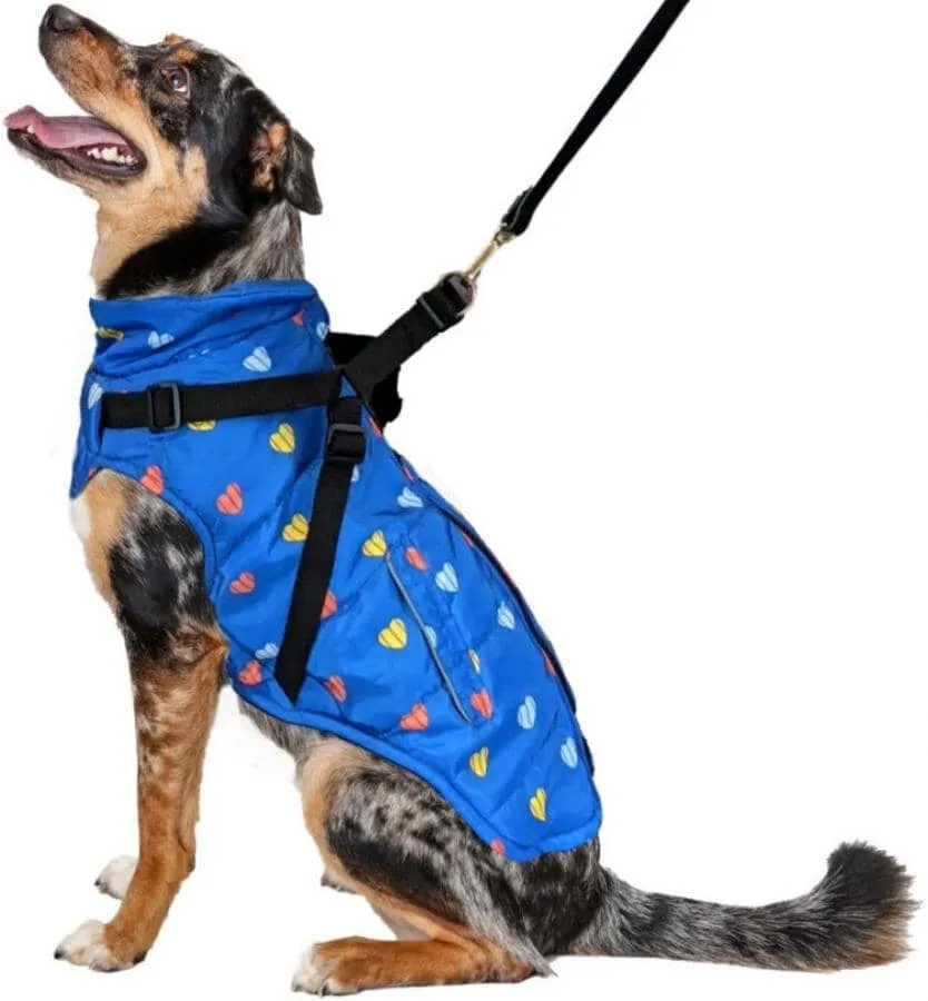 Fashion Pet Puffy Heart Harness Coat Blue - Large