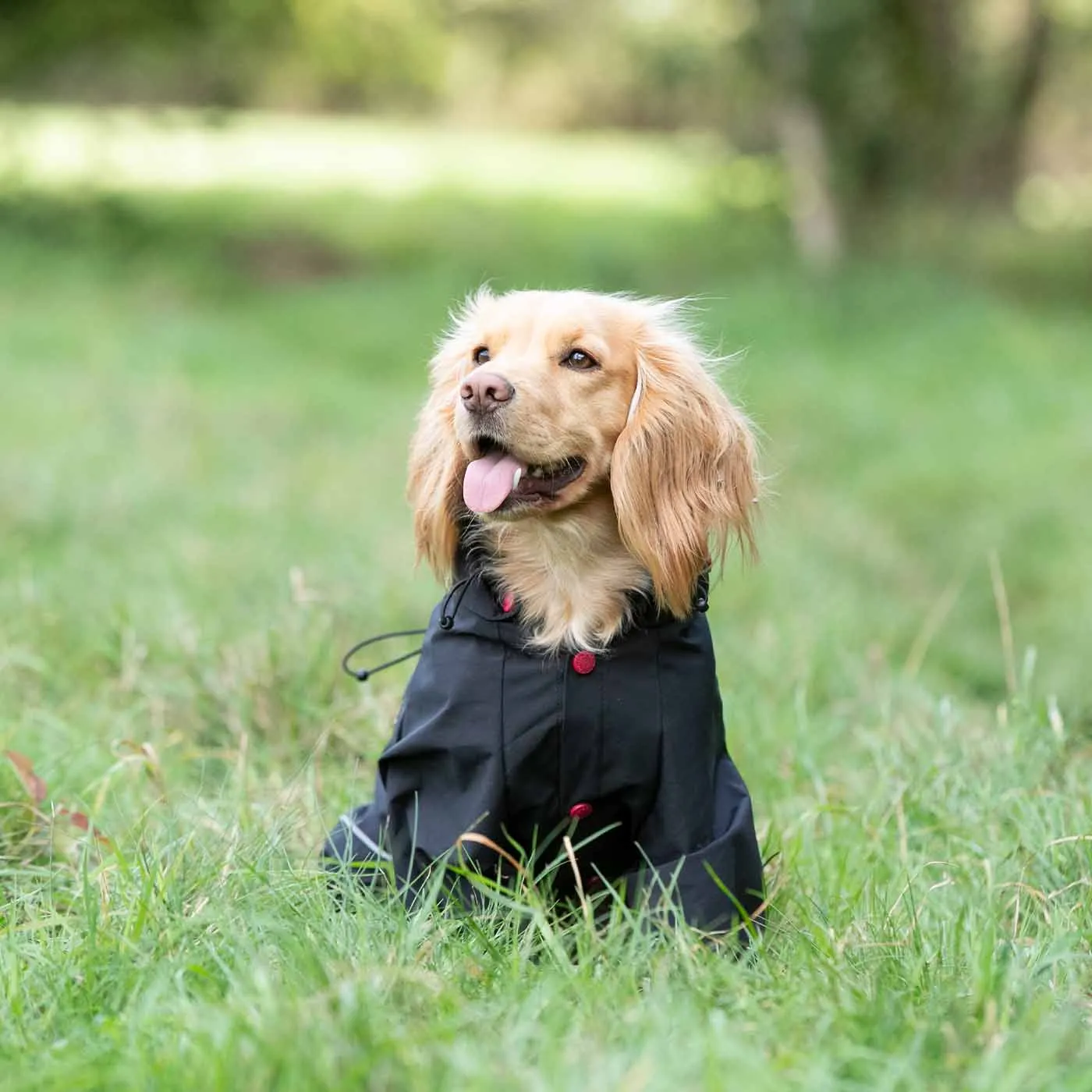 Hugo & Hudson Black Reflective Hooded Dog Overalls