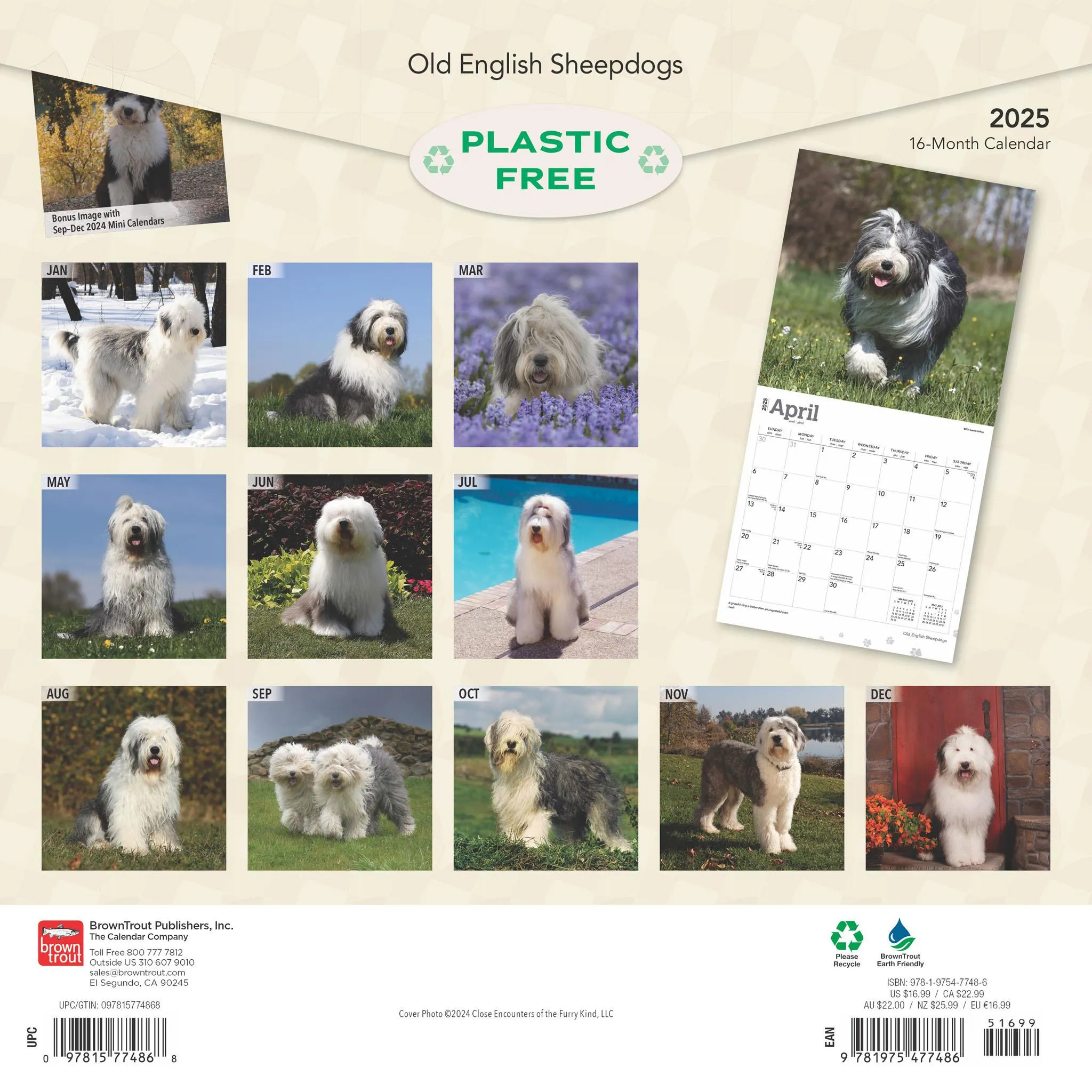 Old English Sheepdogs Wall 2025 Calendar